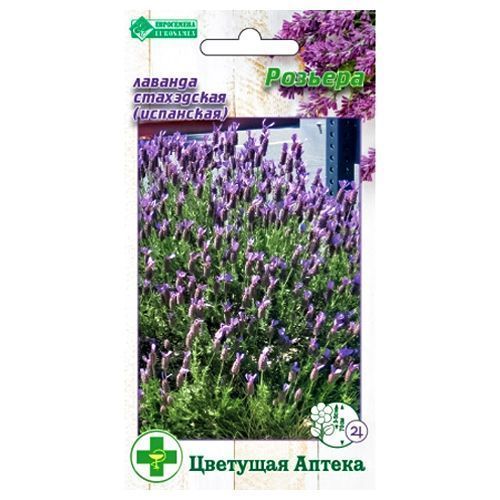 ������ ������ ������� ��������� ������� ����������   ����