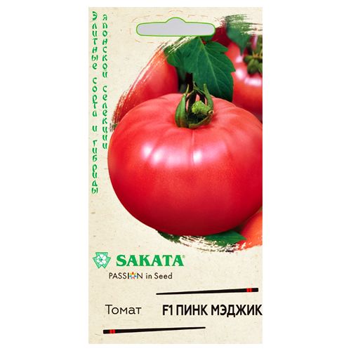 ������ ������ ����� ���� ������ F1 ������   ����