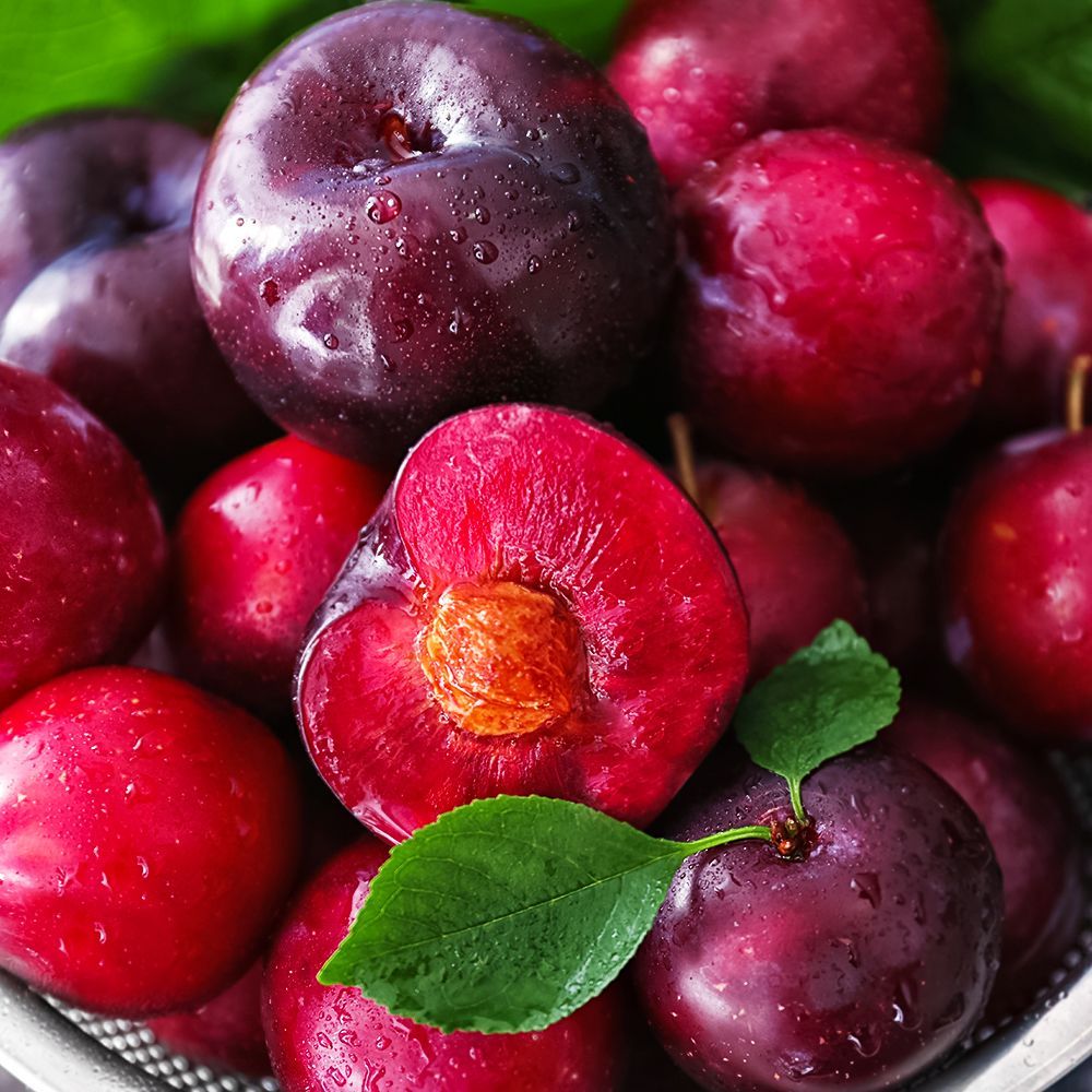 ������ ������ �������� (������ �����, ���������, ��������) ����������   ����