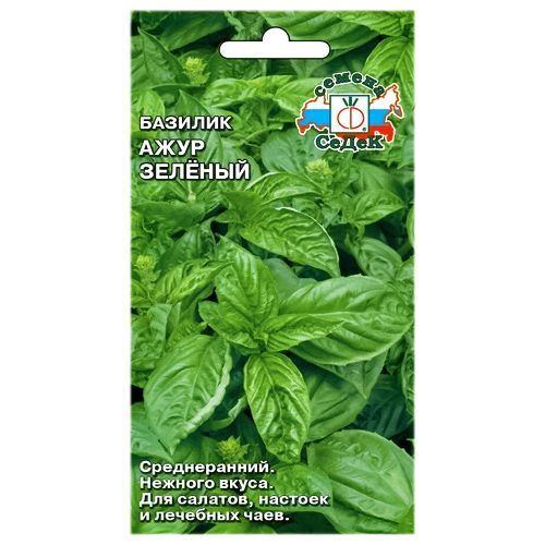 ������ ������ ������� ���� ������� �����   ����