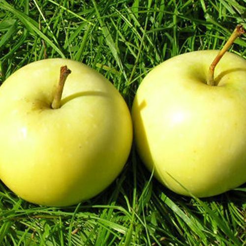 ������ ������ ������ ������� �������   ����