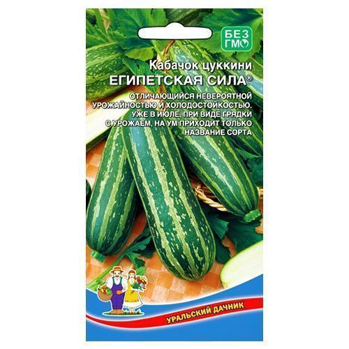 ������ ������ ������� ���������� ���� ��������� ������   ����