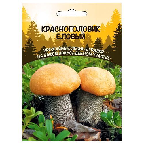 ������ ������ ������������� (�����������) ������ ��������� ������   ����