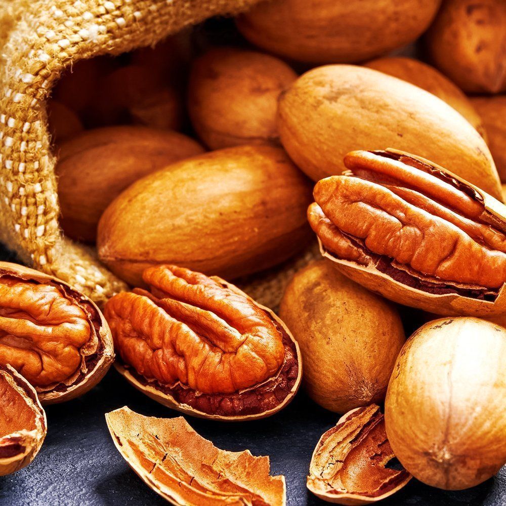 ������ ������ ���� �������� �����   ����