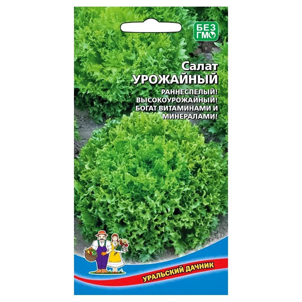 ������ ������ ����� ��������� ��������� ������   ����