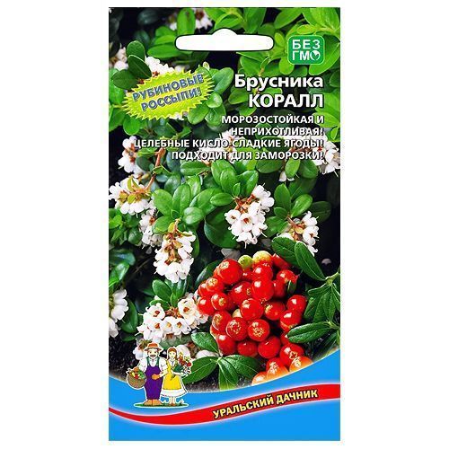 ������ ������ �������� ������ ��������� ������   ����