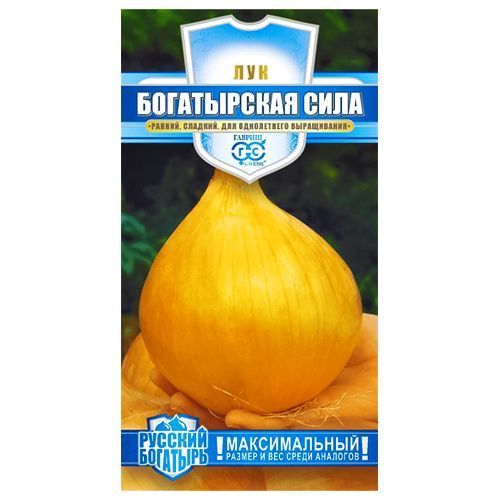 ������ ������ ��� �������� ����������� ���� ������   ����