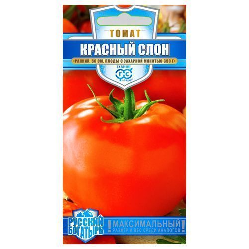 ������ ������ ����� ������� ���� ������   ����