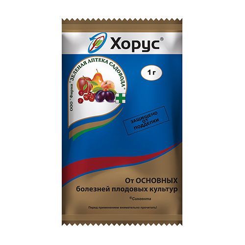 ������ ������ �����, �������� �� �������� �������� 1 �   ����