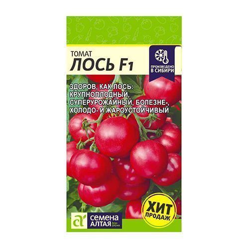 ������ ������ ����� ���� F1 ������ �����   ����