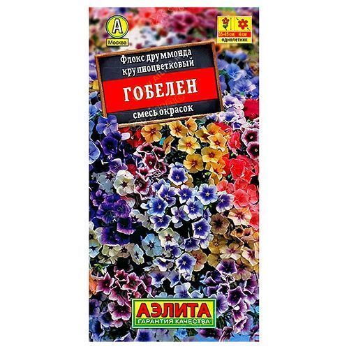 ������ ������ ����� �������, ����� ������� ������   ����