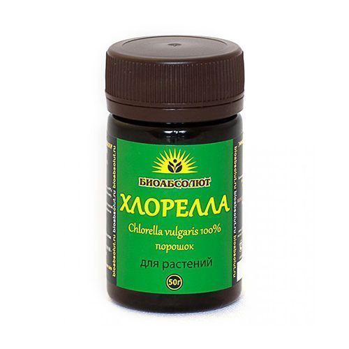 ������ ������ ���������� ��������, ������� 50 ��   ����