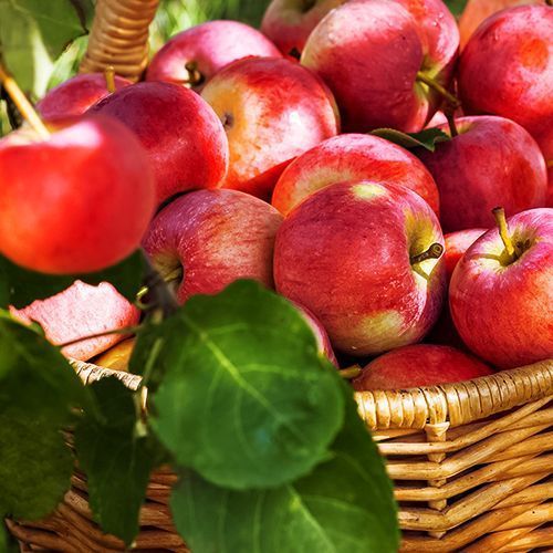 ������ ������ ������ ������������ ���������   ����