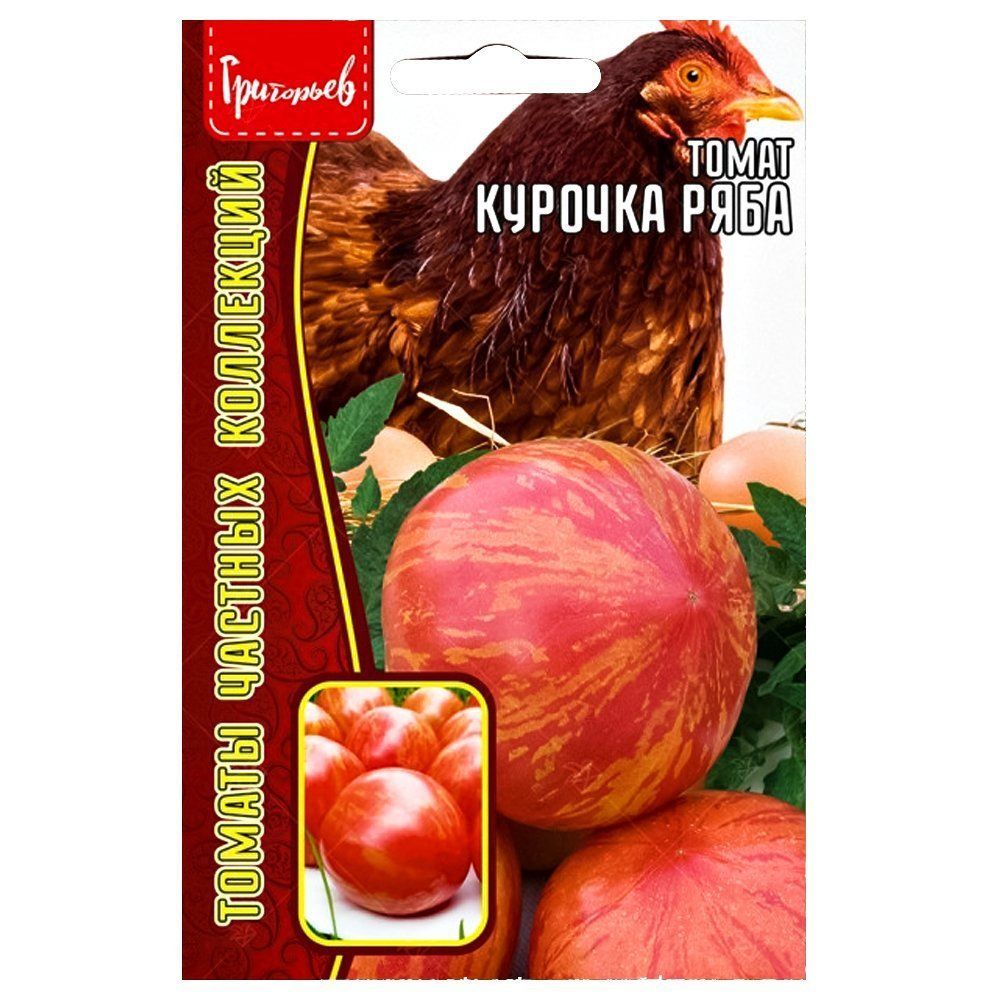 ������ ������ ����� ������� ���� ������ ������   ����