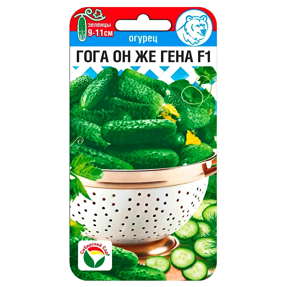 ������ ������ ������ ���� �� �� ���� F1 ��������� ���   ����