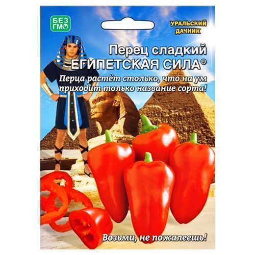 ������ ������ ����� ������� ���������� ���� ��������� ������   ����