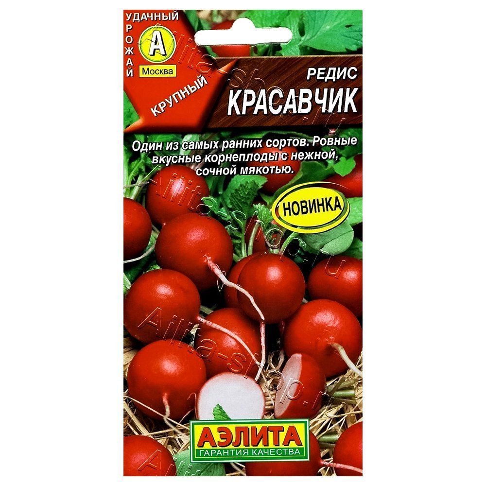 ������ ������ ����� ��������� ������   ����