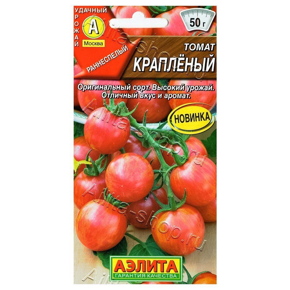 ������ ������ ����� ��������� ������   ����