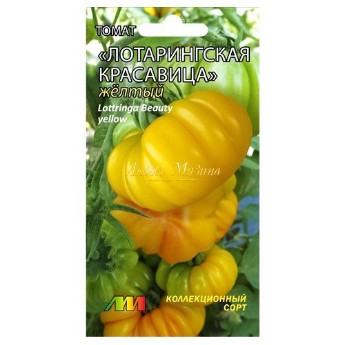 ������ ������ ����� ������������ ��������� ������ ����������� ������ �.�.   ����