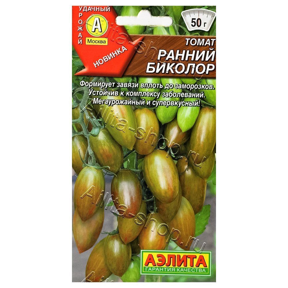 ������ ������ ����� ������ ������� ������   ����