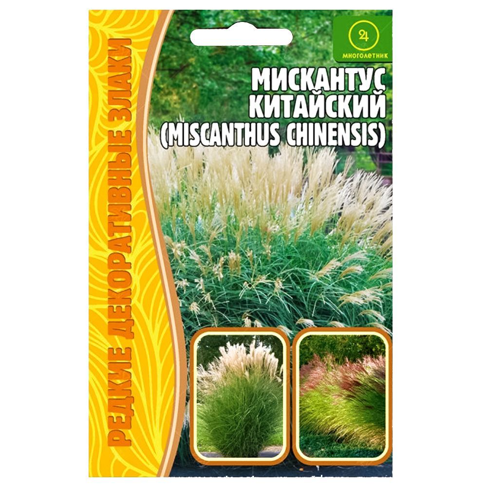 ������ ������ ��������� ��������� ������ ������   ����