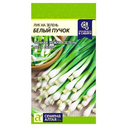 ������ ������ ��� �� ������ ����� ����� ������ �����   ����