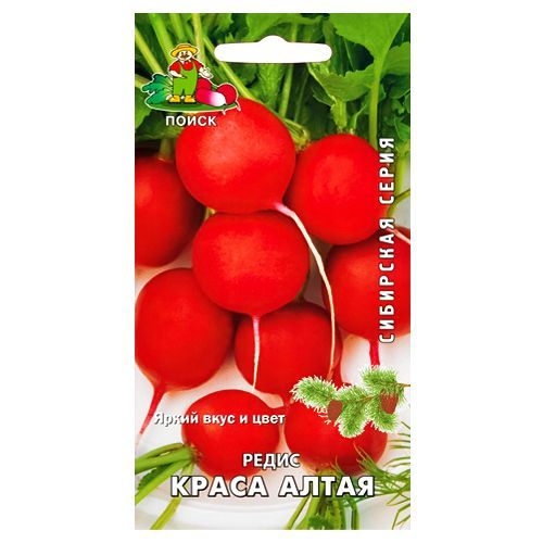 ������ ������ ����� ����� ����� �����   ����