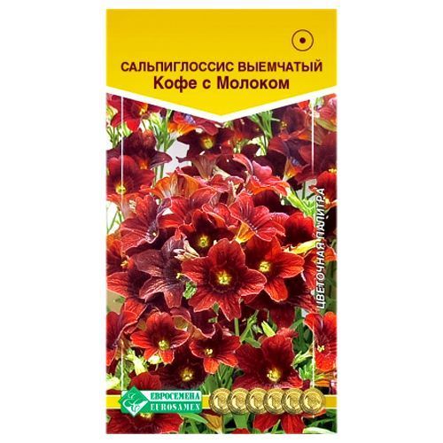 ������ ������ ������������� ���� � ������� ����������   ����