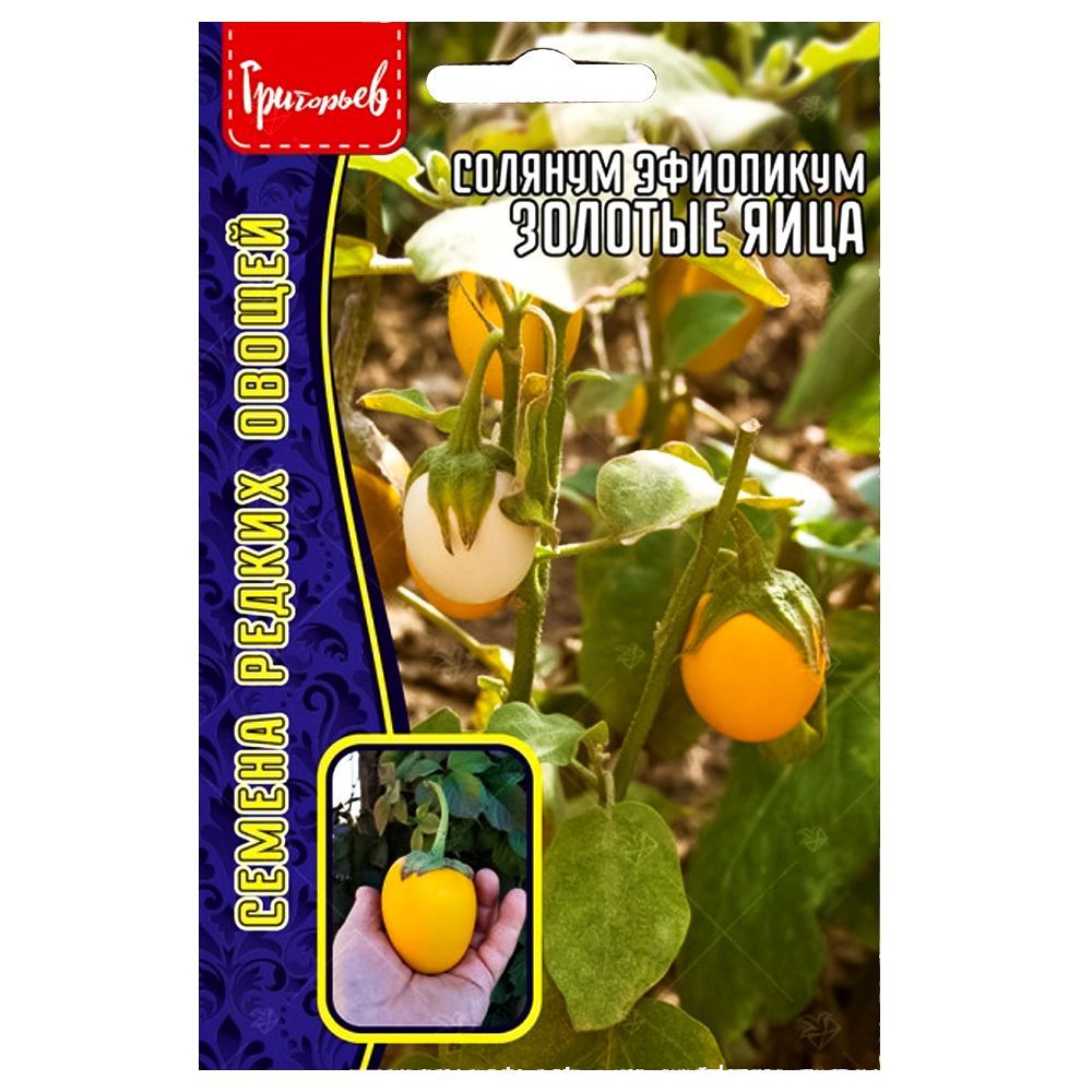 ������ ������ ������� ��������� ������� ���� ������ ������   ����