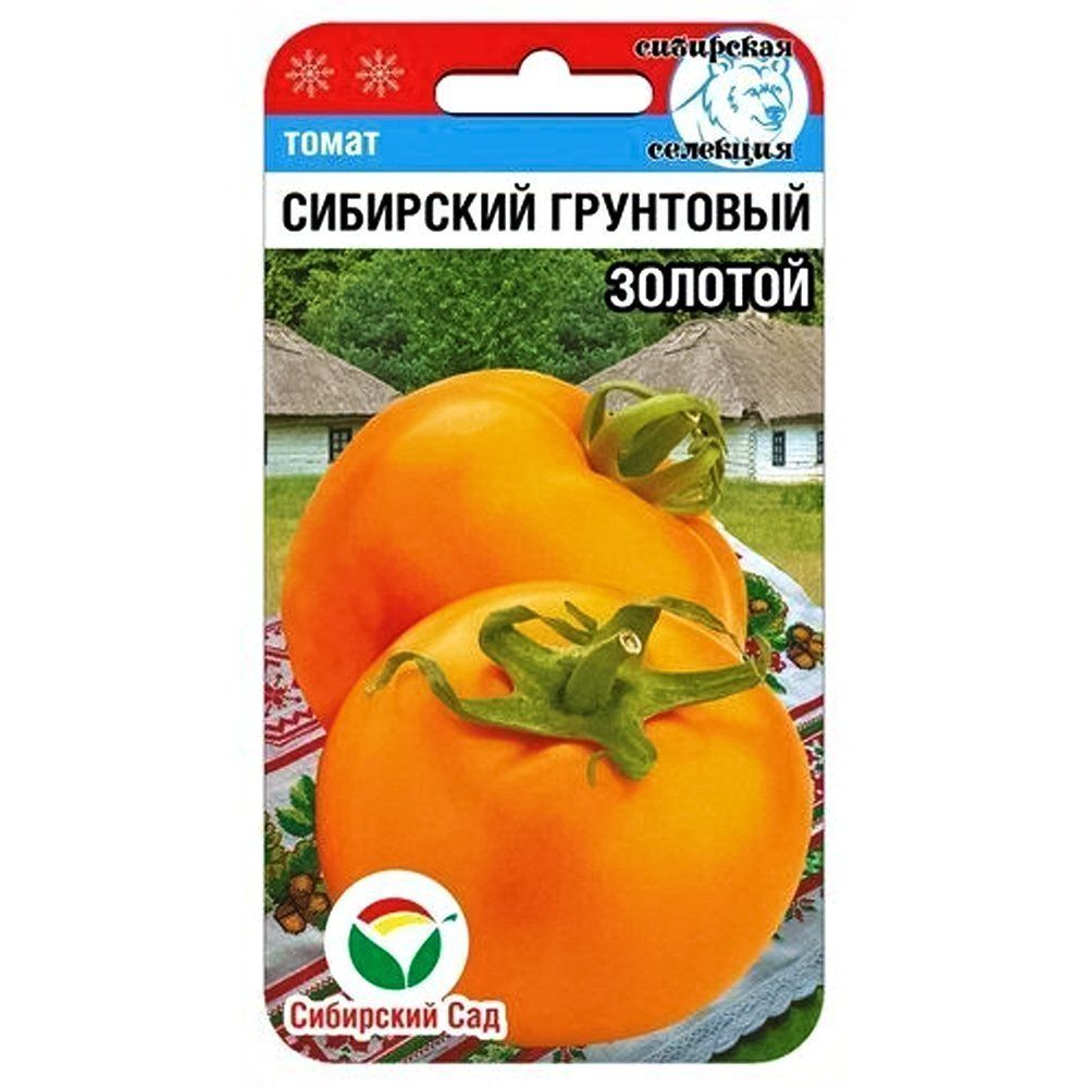 ������ ������ ����� ��������� ��������� ������� ��������� ���   ����