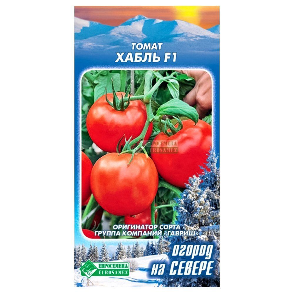 ������ ������ ����� ����� F1 ����������   ����