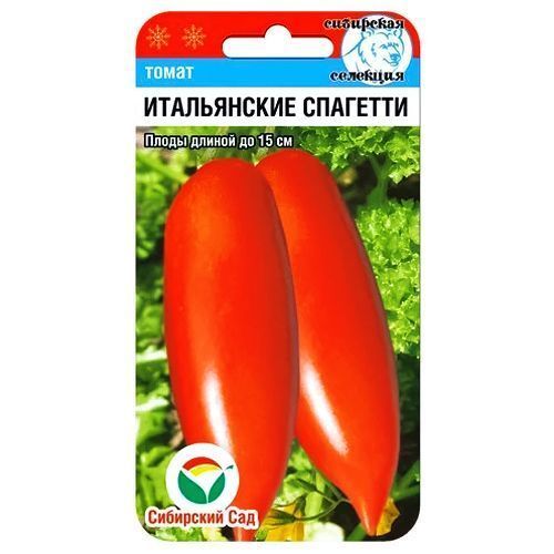 ������ ������ ����� ����������� �������� ��������� ���   ����