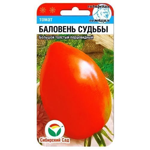 ������ ������ ����� �������� ������ ��������� ���   ����