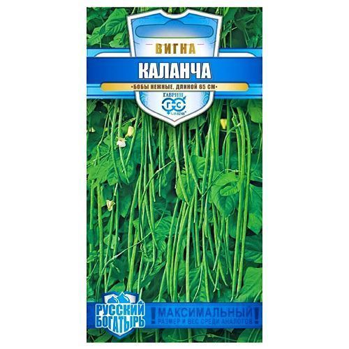 ������ ������ ����� ������� ������   ����