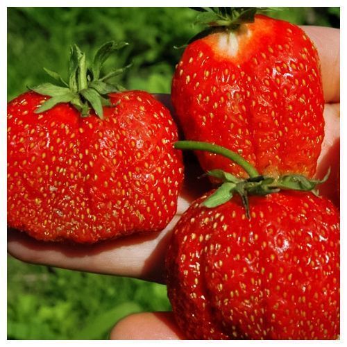 ������ ������ ��������� ������������� ������ �������   ����