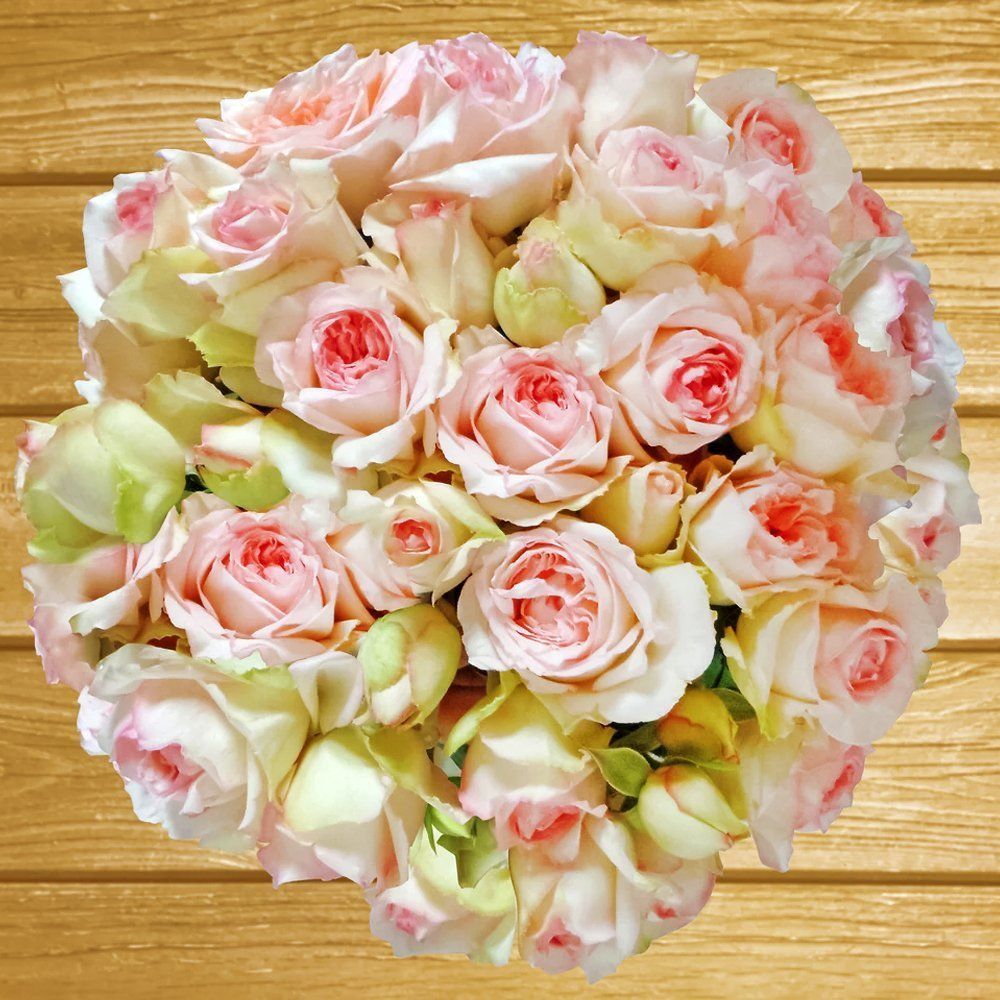 ������ ������ ���� ����� ������� ������� ���������   ����