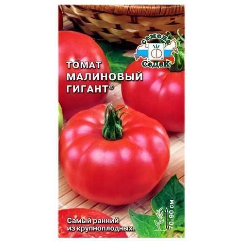 ������ ������ ����� ��������� ������ �����   ����