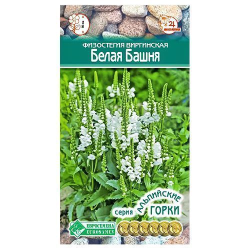 ������ ������ ���������� ���������� ����� ����� ����������   ����