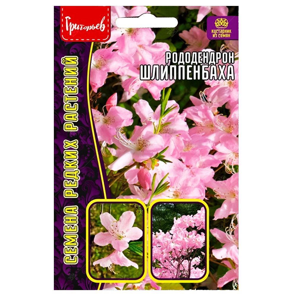 ������ ������ ����������� ����������� ������ ������   ����