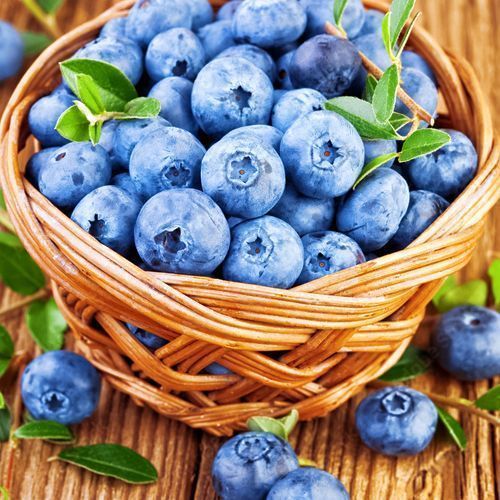 ������ ������ �������� ����   ����