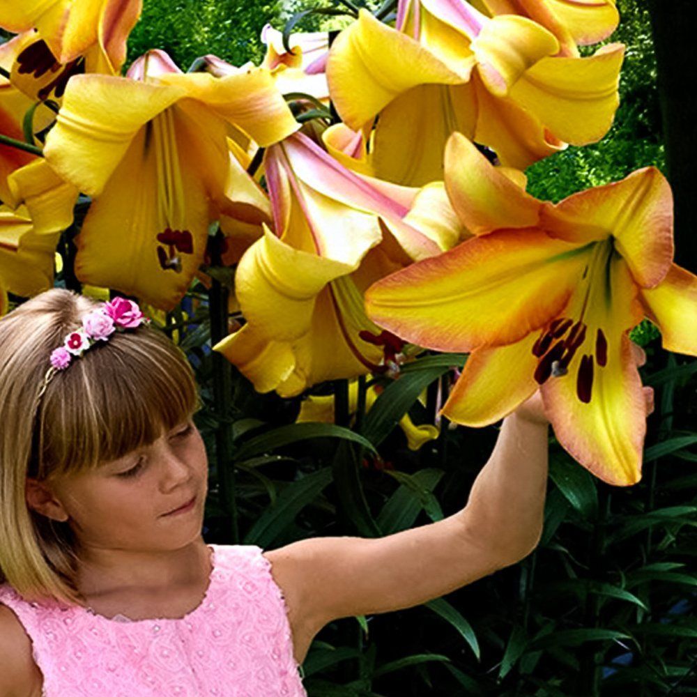 ������ ������ ����� ��-������ ������� ���   ����