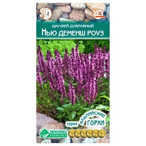 ������ ������ ������ ��������� ��� ������ ���� ����������   ����