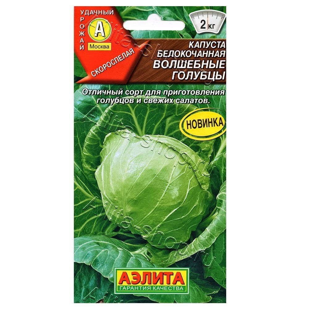 ������ ������ ������� ������������ ��������� ������� ������   ����