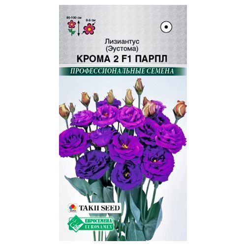 ������ ������ ��������� (�������) 2 ����� ����� F1 ����������   ����