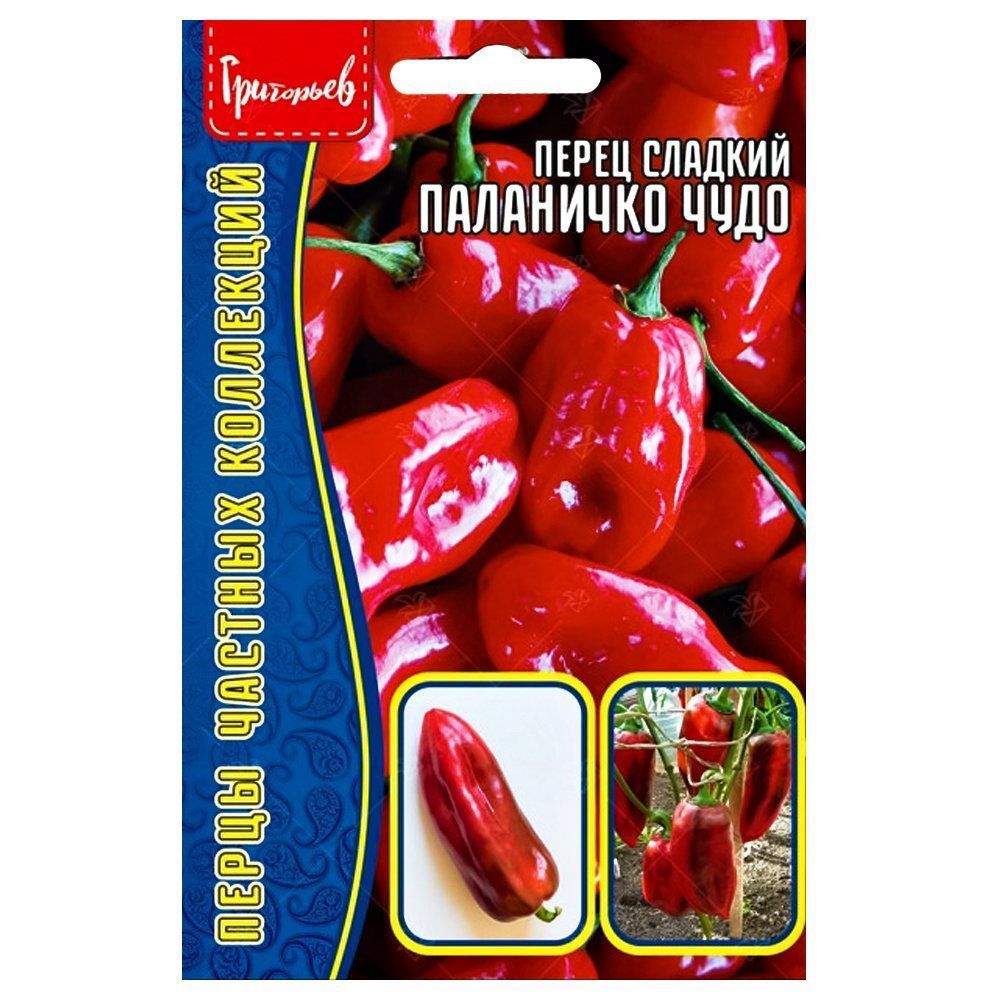 ������ ������ ����� ������� ��������� ���� ������ ������   ����