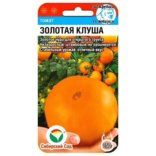 ������ ������ ����� ������� ����� ��������� ���   ����