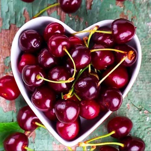 ������ ������ ������� ����� ������   ����