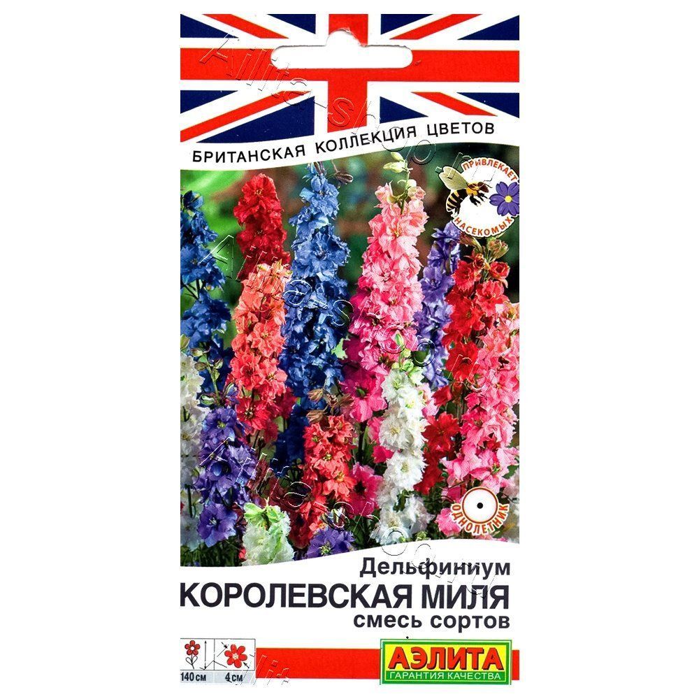 ������ ������ ���������� ����������� ����, ����� ������� ������   ����