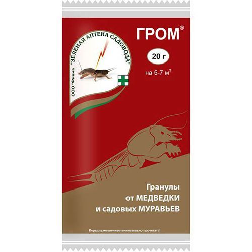 ������ ������ ����, �������� �� �������� 20 �   ����