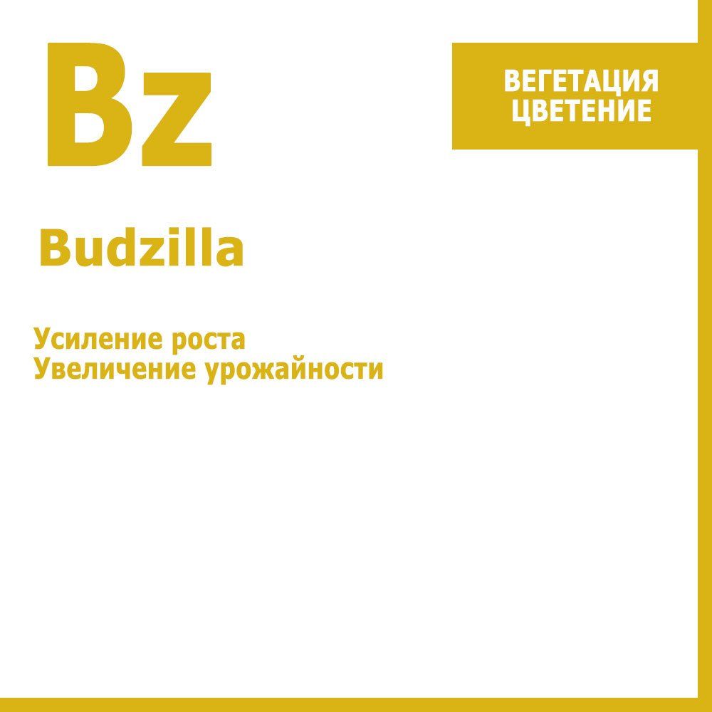 ������ ������ Budzilla, ���������� ���������� ����������� 250 ��   ����